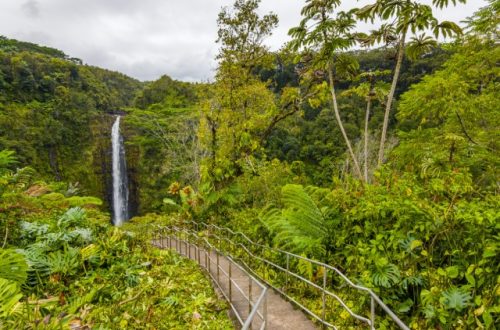 Lovely view of Hawaii's 'Akaka Falls from a distance showing the powerful falls surrounded by lush vegetation.