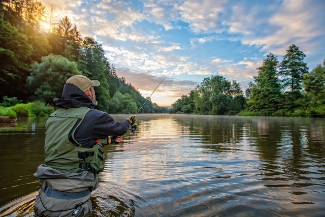 An angler in a green fishing vest stands in a calm river, casting a line. Lush trees surround him on both banks.