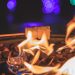 A close-up of a fall bonfire burning in the night. There is a fire stick holding two marshmallows over the flame.