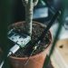 Smart Tools and Technologies That Simplify Everyday Lawn and Garden Care