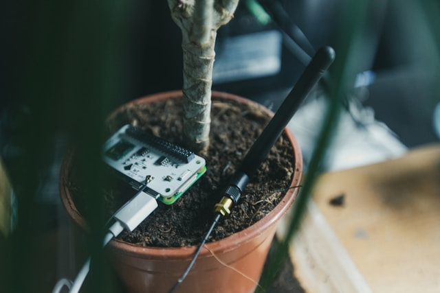 Smart Tools and Technologies That Simplify Everyday Lawn and Garden Care