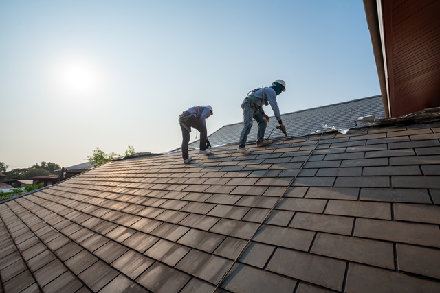 Two roofers wearing safety harnesses work on a large, sloped shingle roof under a bright blue sky on a sunny day.